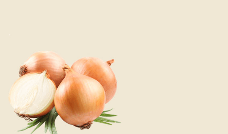 تحديات موسمية